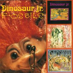 Dinosaur Jr. : Fossils